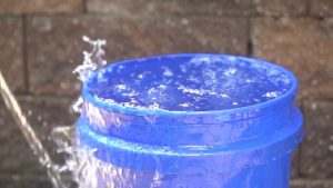 detox paling berkesan